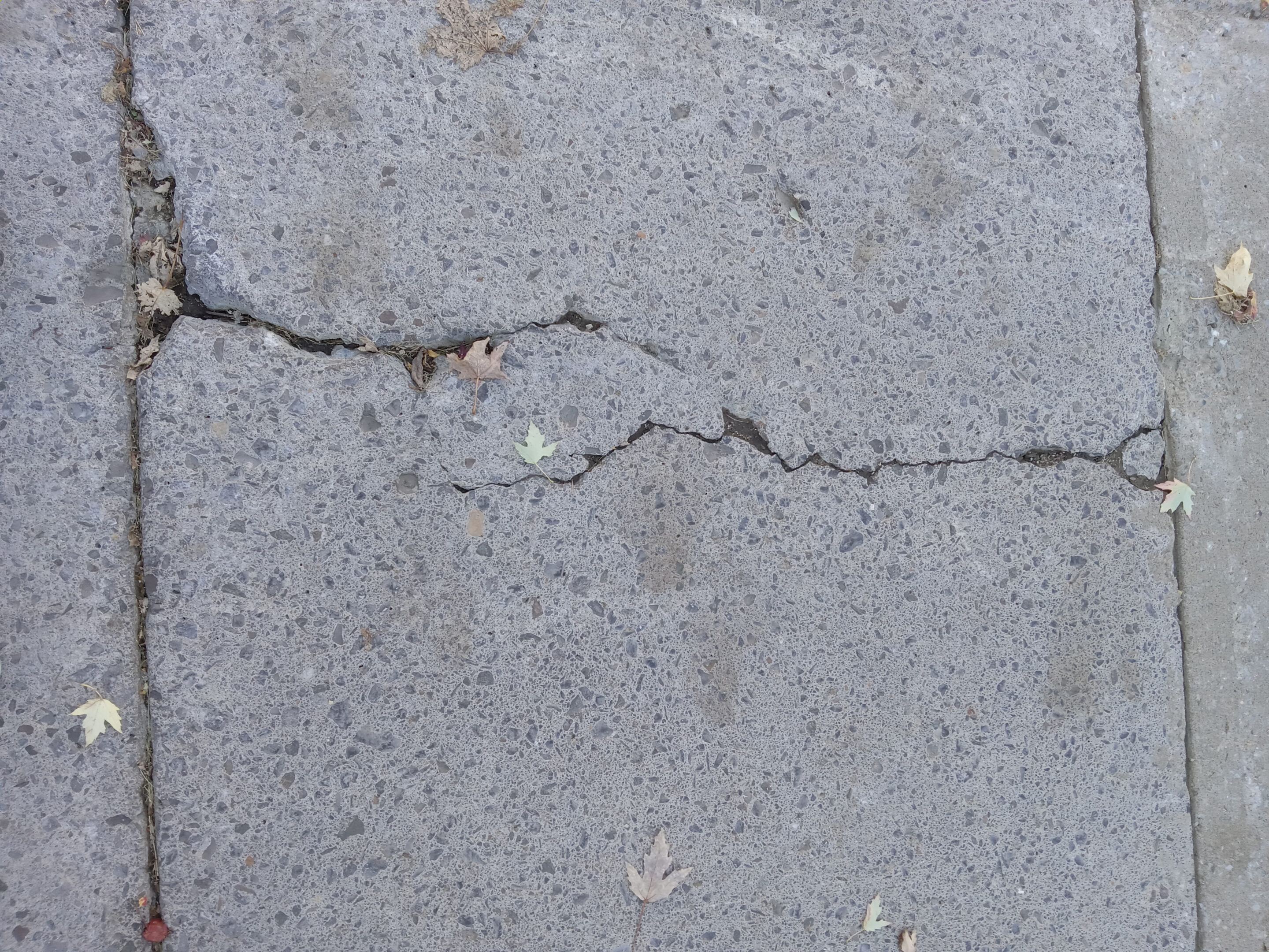 © Marona, 2025 | Tous droits réservés