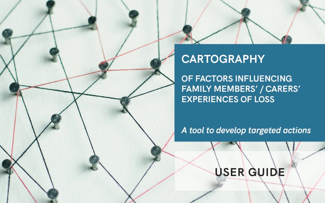 Cartography of Factors Influencing Family Members/Carers’ Experiences of Loss: A Tool to Develop Targeted Actions. User Guide